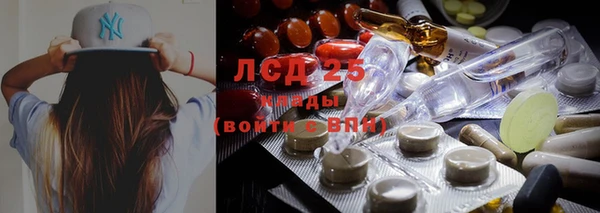 стафф Арсеньев
