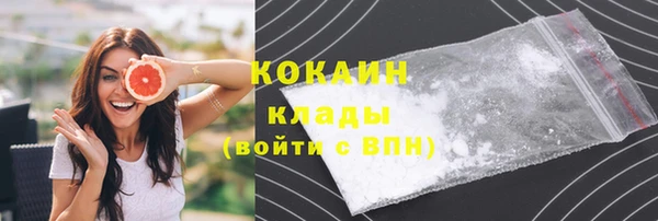 стафф Арсеньев