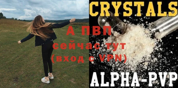 стафф Арсеньев