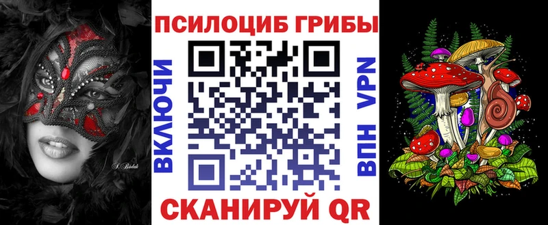 darknet клад  Пугачёв  Галлюциногенные грибы Psilocybe 