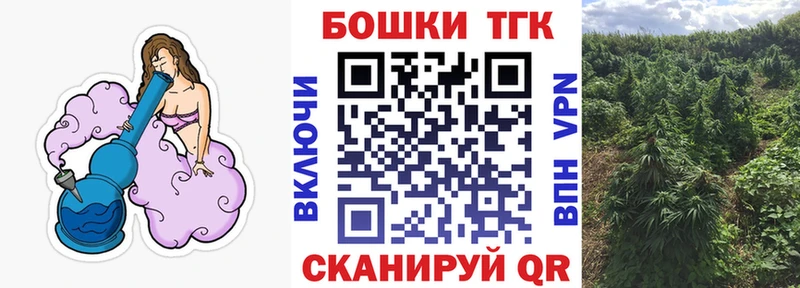 Шишки марихуана Amnesia  Пугачёв 
